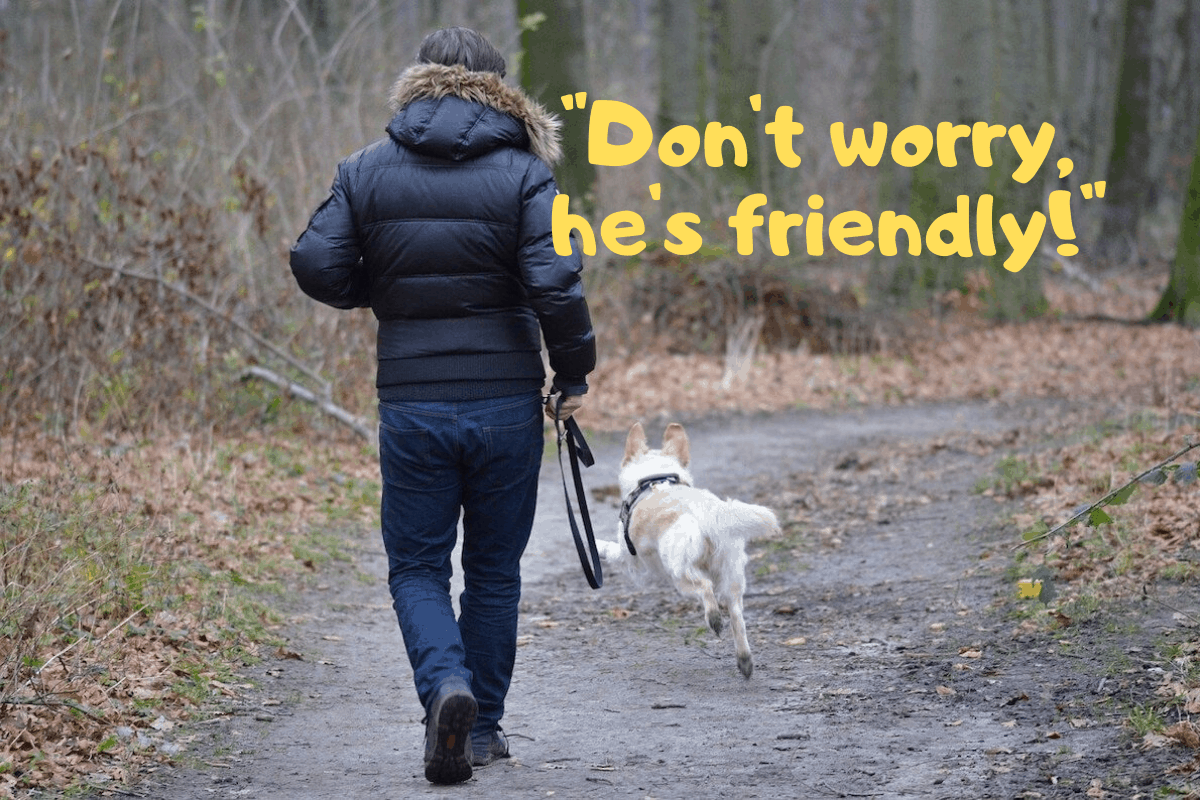Don’t Worry, He’s Friendly! British Dog Fields For Field Owners and