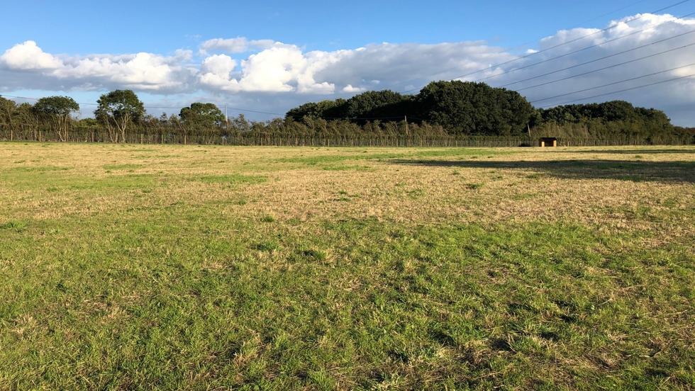 Foxes Farm Fields, Upminster B (Bird Lane) British Dog Fields For