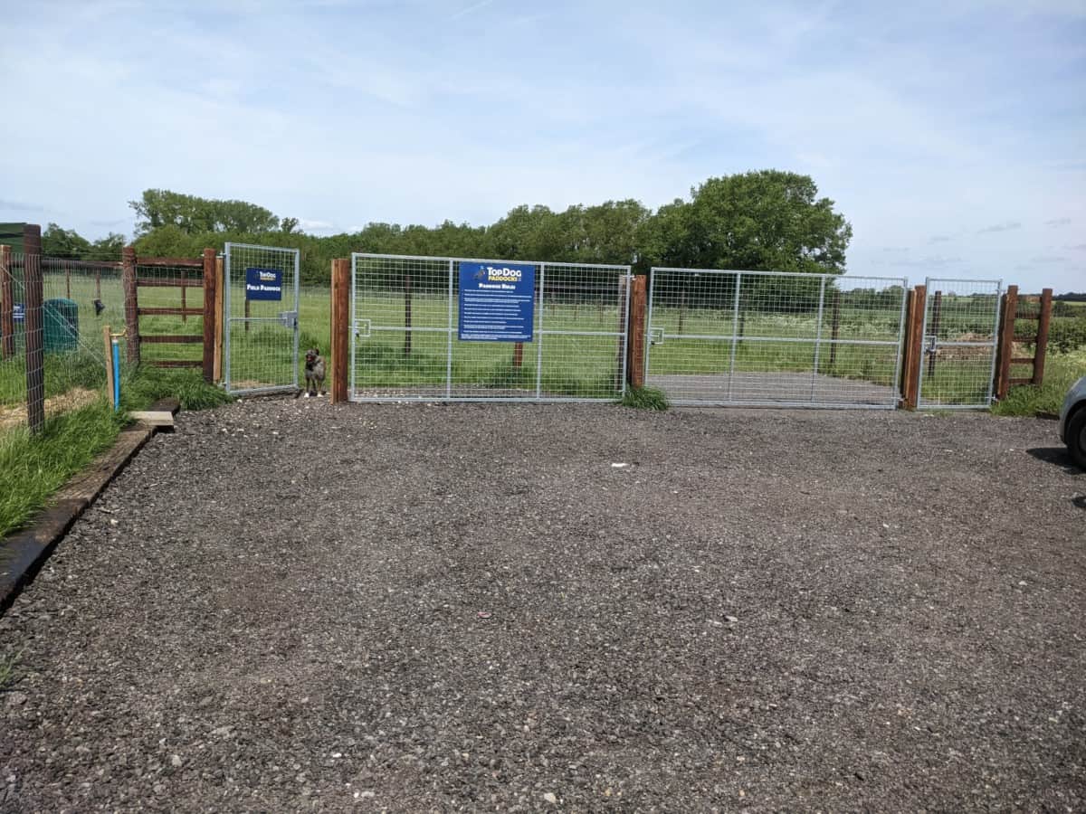 REVIEW Top Dog Paddocks, St Neots British Dog Fields For Field