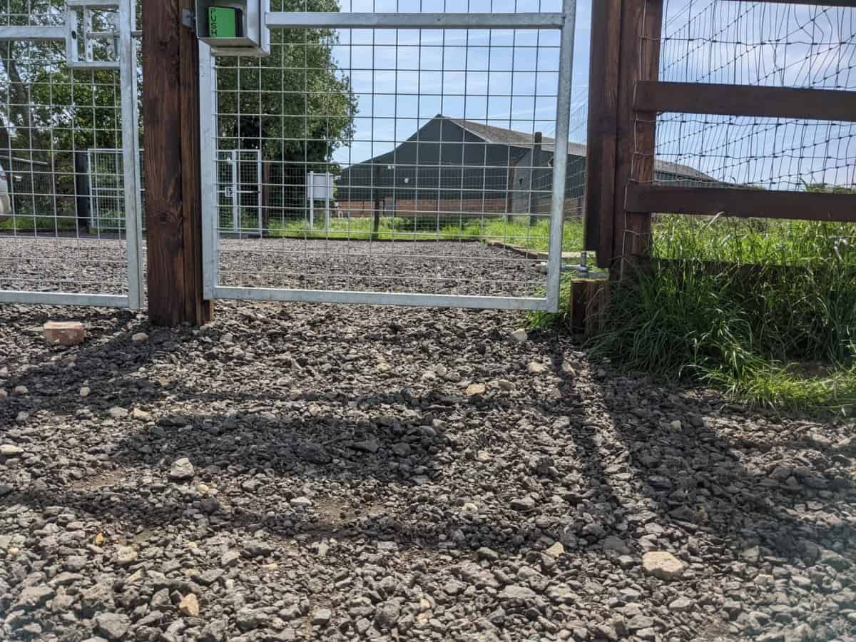 REVIEW Top Dog Paddocks, St Neots British Dog Fields For Field