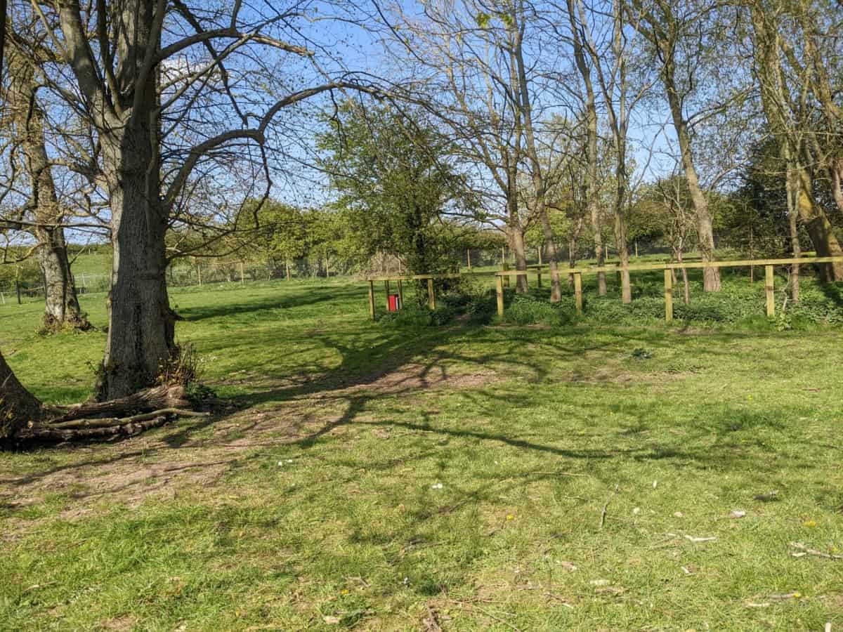 REVIEW Castlethorpe Secure Dog Walking Field, Milton Keynes