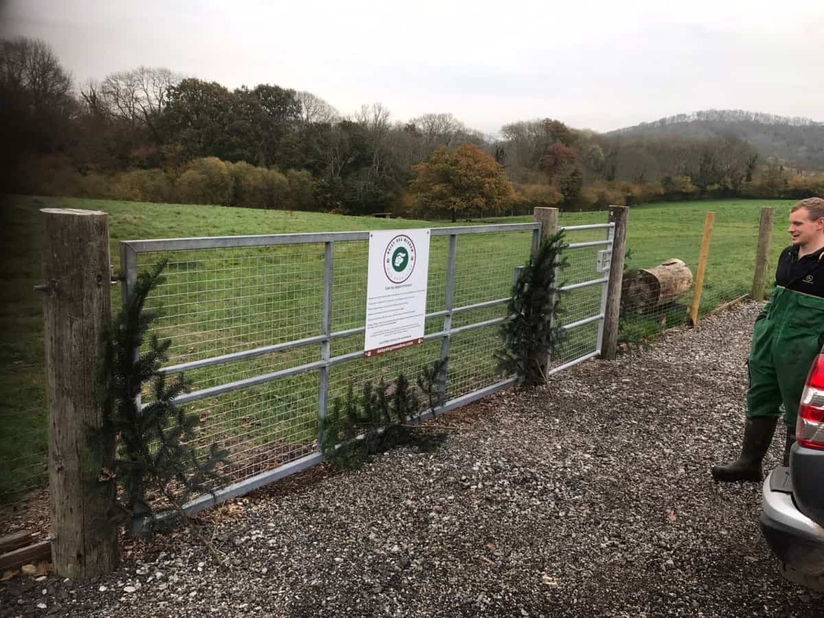 Daisy Dog Meadow Secure Dog Field, Petersfield British Dog Fields