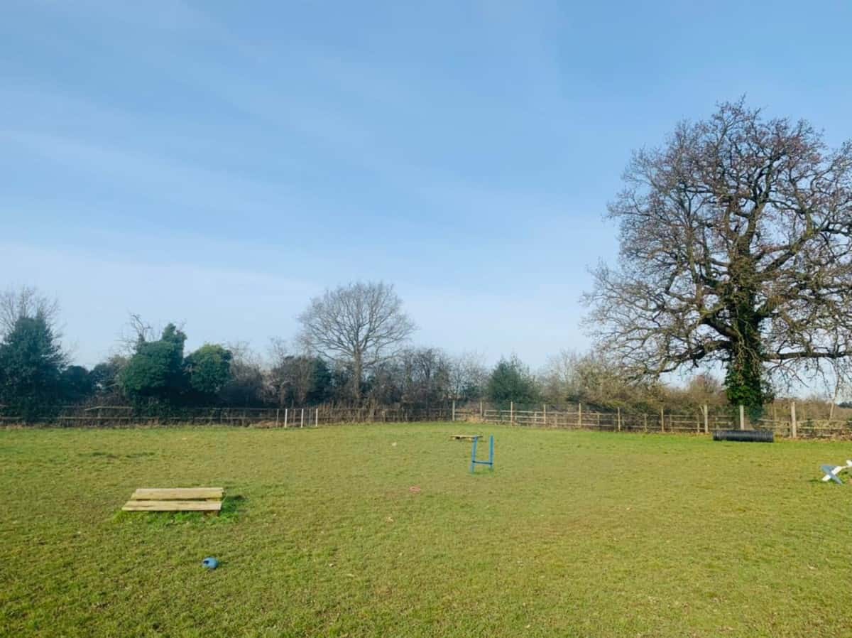 K9 Retreat Secure Dog Field, Slough