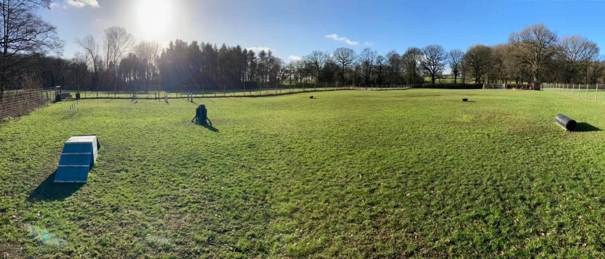 Woodlands Paddock Dog Field, Burton on Trent