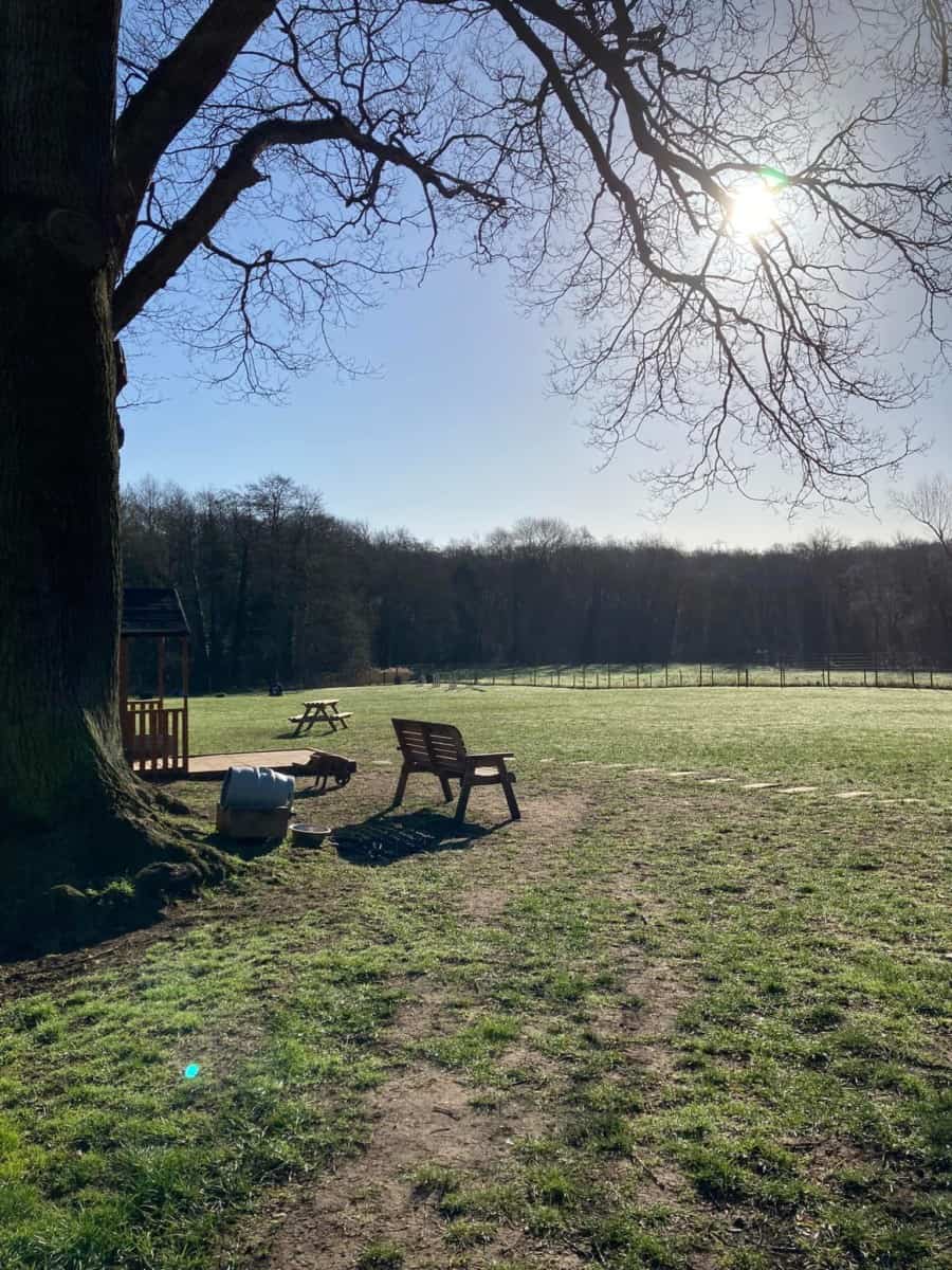 Woodlands Paddock Dog Field, Burton on Trent