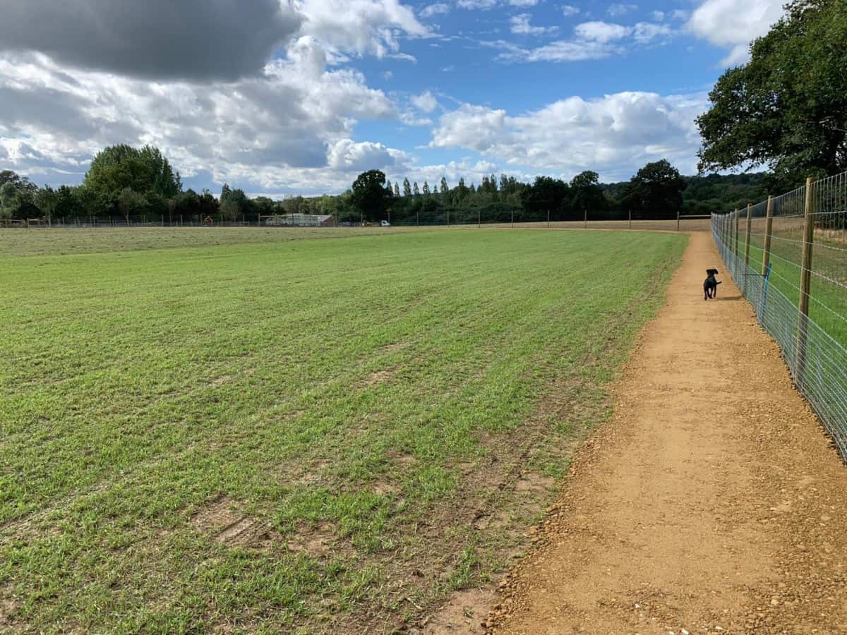 Paw Paddock Dog Field, Horsham