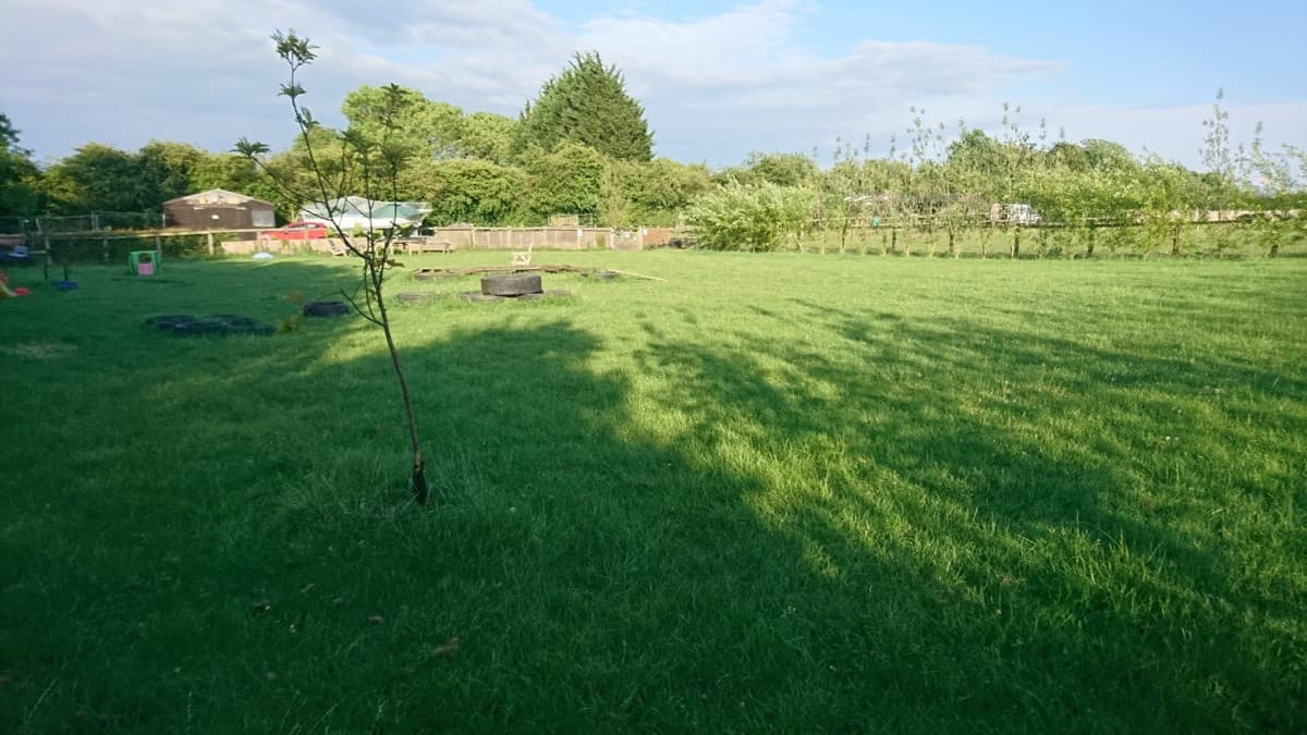 Barkway Dog Park and Field, Royston