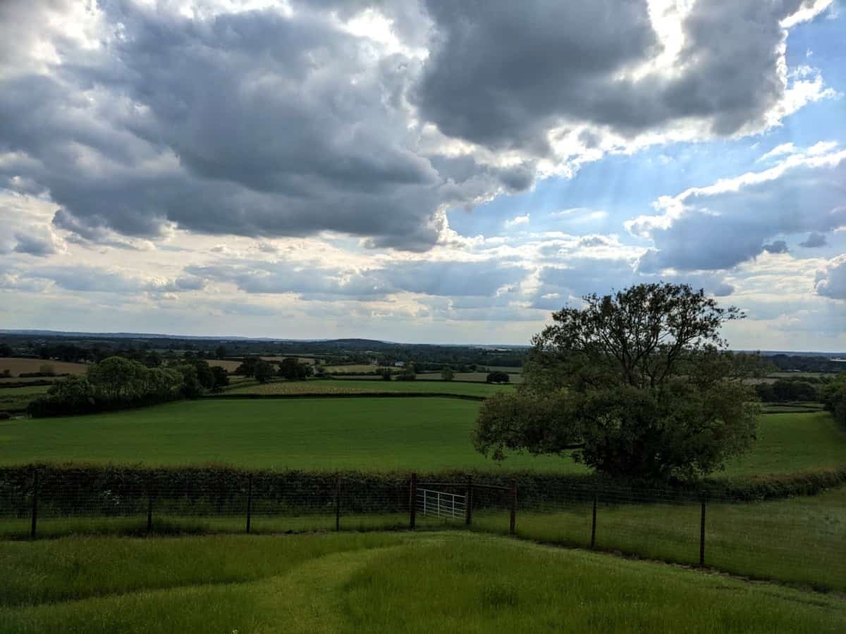 How Much Money Can You Make Running a Secure Dog Field? British Dog