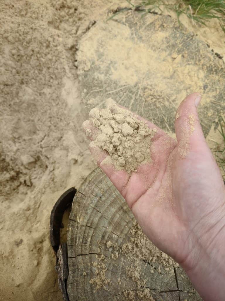 Sand Pits for Dogs Common Mistakes and How to Avoid them