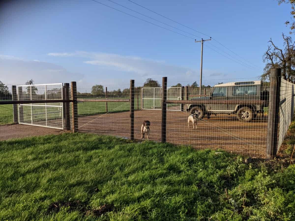 Contented Canine Secure Field, Staverton British Dog Fields For
