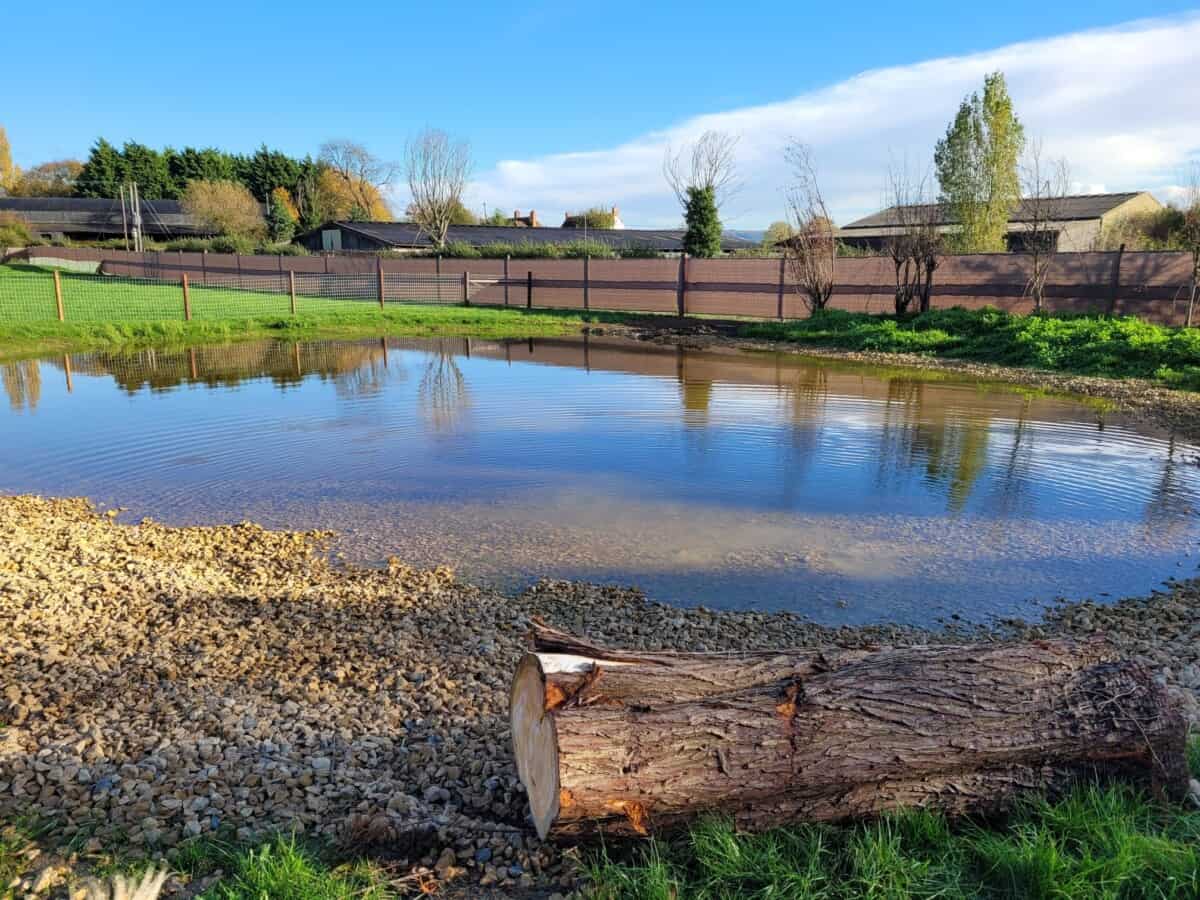 Contented Canine Secure Field, Staverton British Dog Fields For