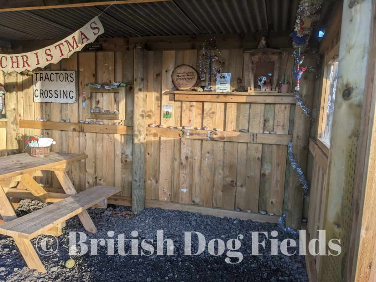 REVIEW Merrins Meadow Secure Dog Field, Truro British Dog Fields