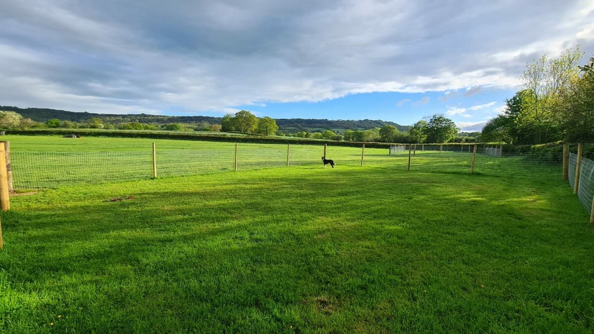 Buckland Farm Dog Friendly Camping Enclosed Pitches