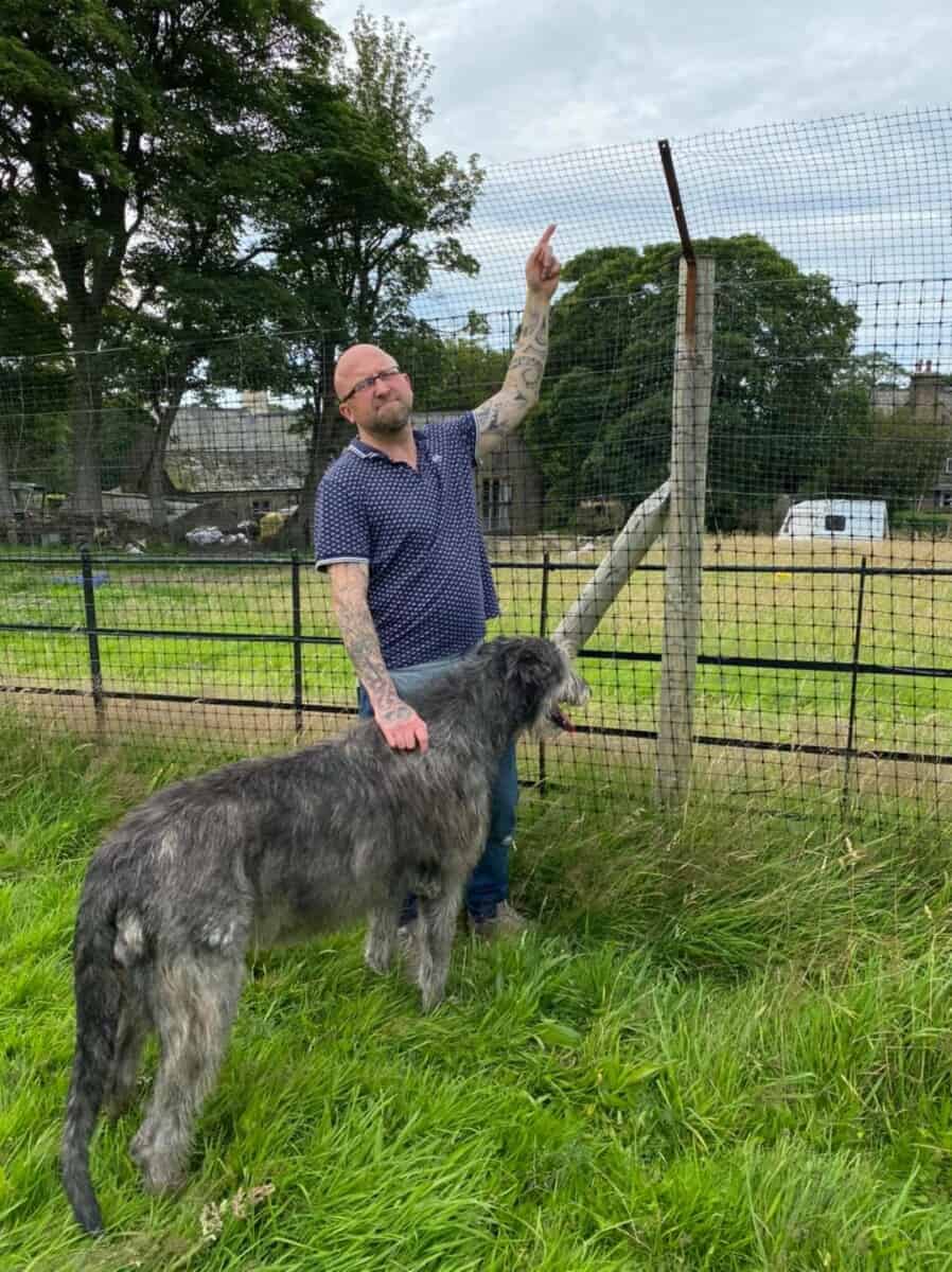 Barklands Secure Dog Walking Field, Holmfirth