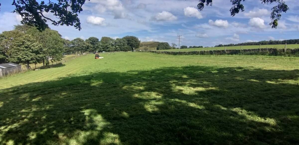 Barklands Secure Dog Walking Field, Holmfirth