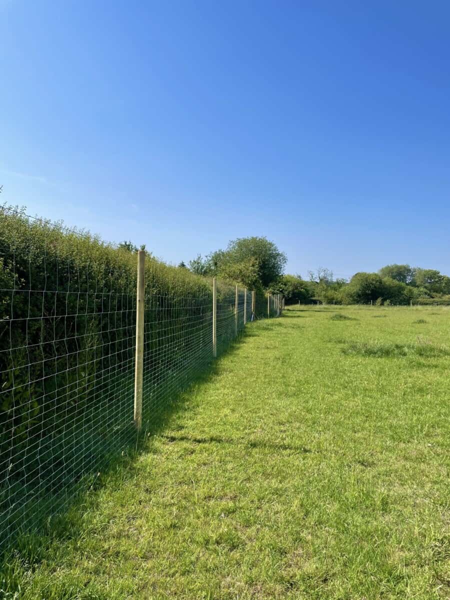 Kingsley Dog Field, Kingsley