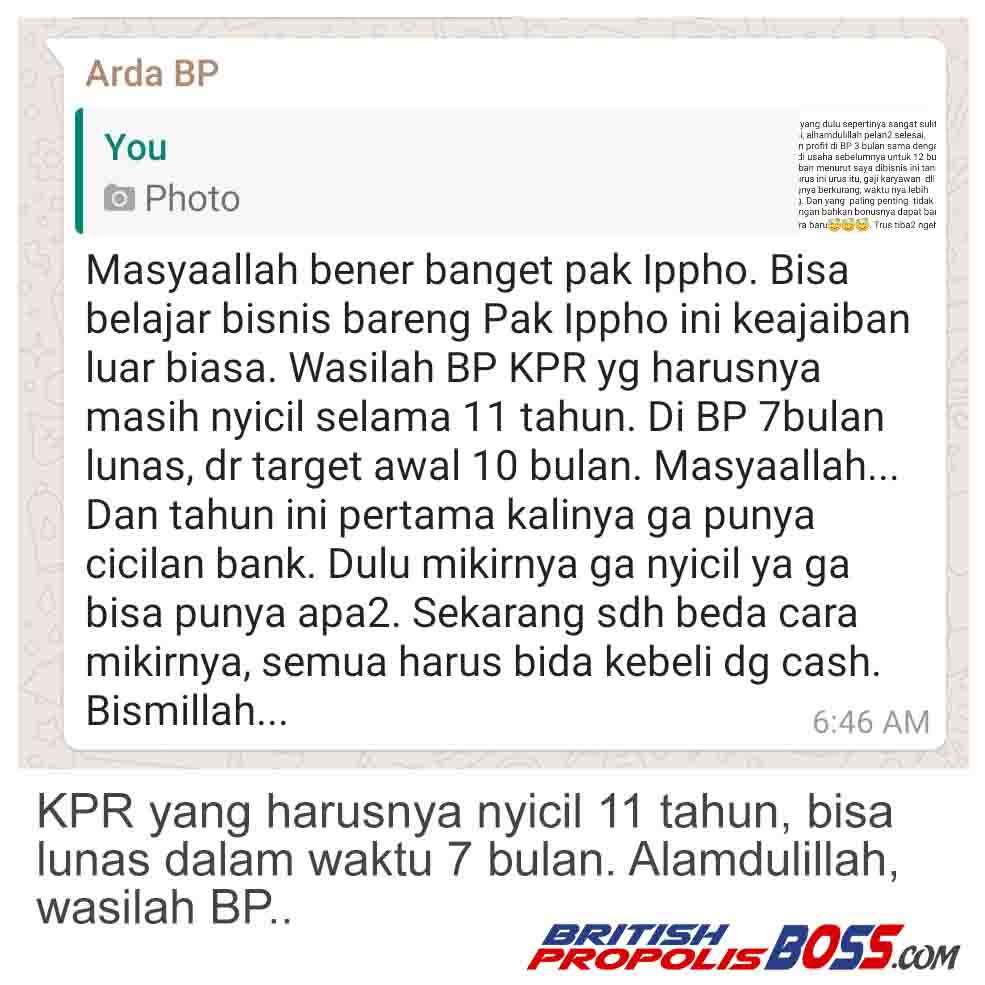 British Propolis