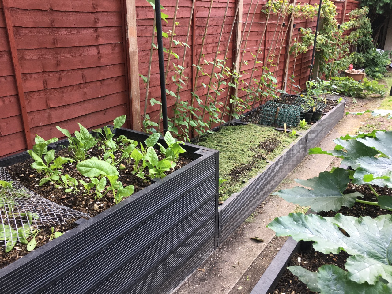 Recycled Plastic Planters and Raised Beds