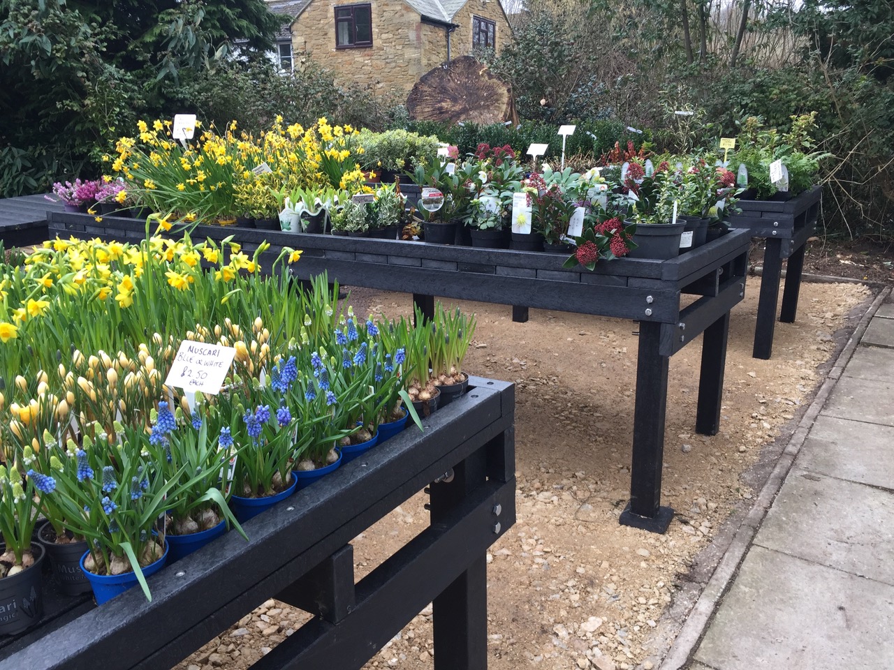 Display benches in garden nursery British Recycled Plastic