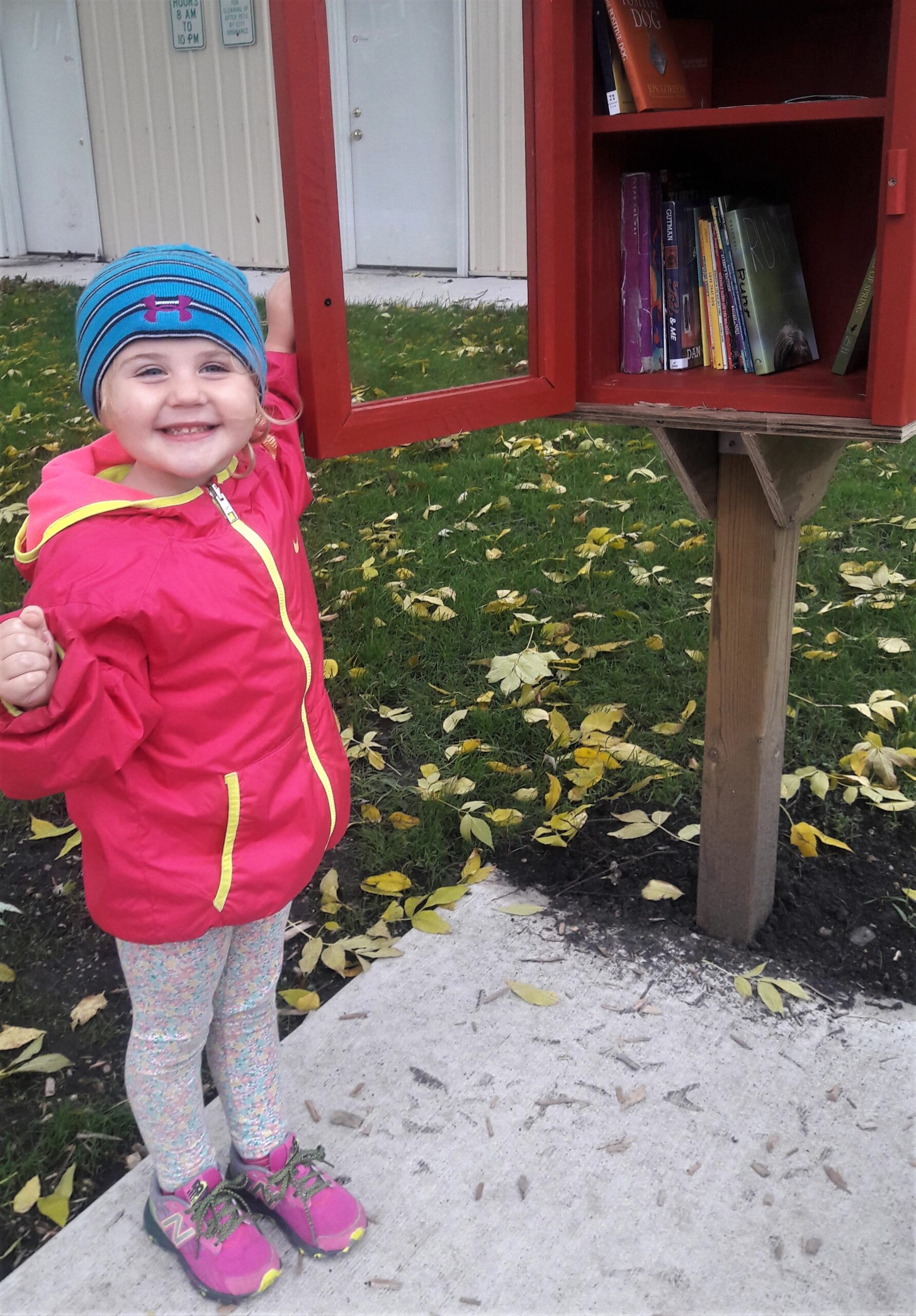 Gallery Britt Public Library