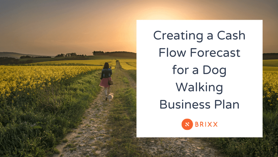 Cash Flow Forecast for a Dog Walking Business Plan Brixx