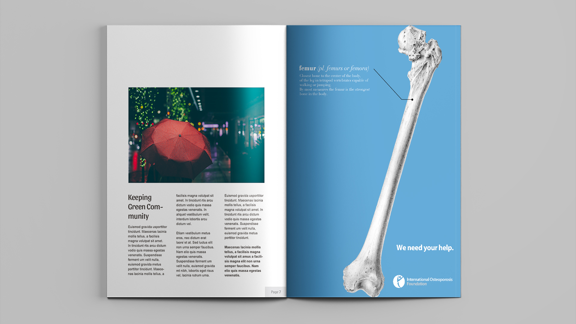 International Osteoporosis Foundation BRNJCE