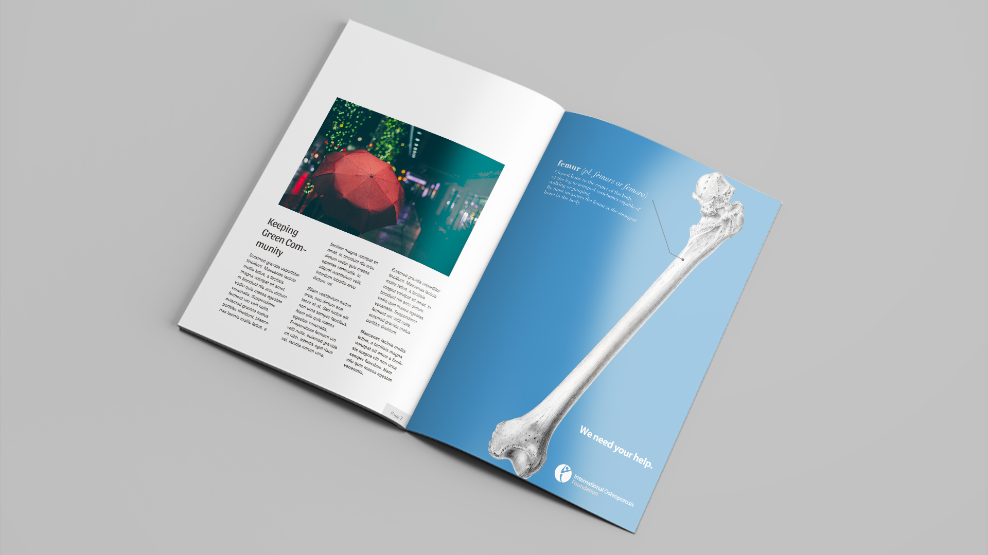 International Osteoporosis Foundation BRNJCE