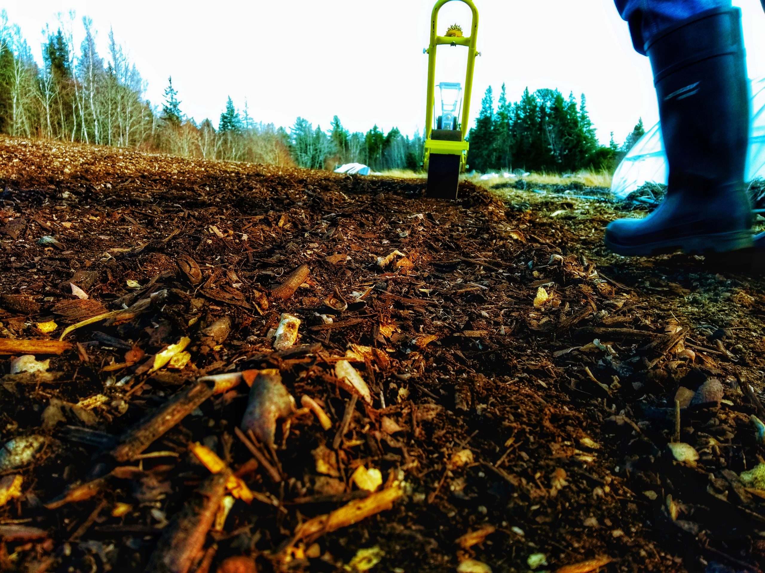 direct seeding with jang seeder