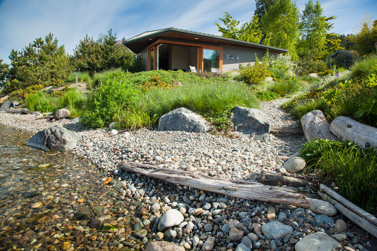 A Living Shoreline in Lake Washington Broadhurst + Associates