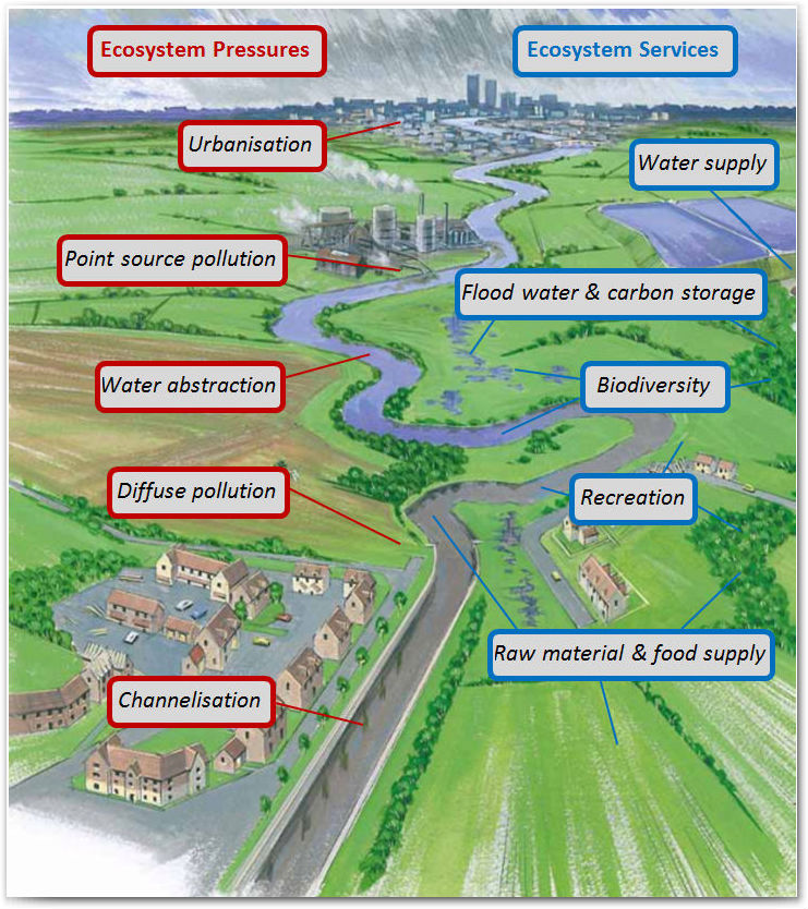 Catchment Based Approach Broadland Catchment Partnership