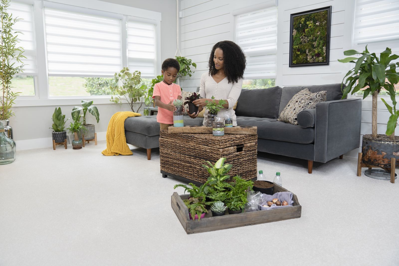 Mohawk Industries Inviting Comfort Taupe Whisper Carpet Richmond, VA