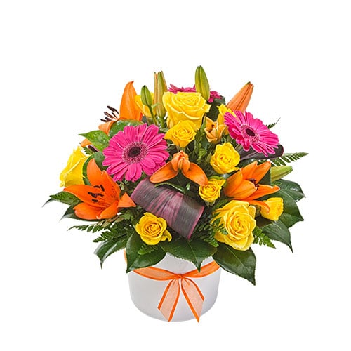 Broadmeadows Blooms Flowers Online Same Day Flower Delivery!