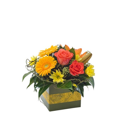 whimsy Broadmeadows Blooms