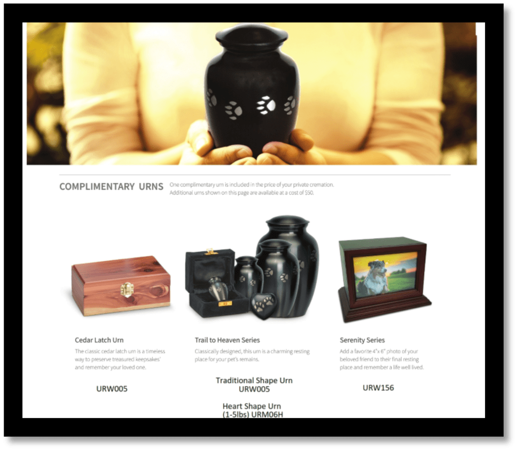 Pet Aftercare in Rochester, Dover & Milton Broadview Animal Hospital