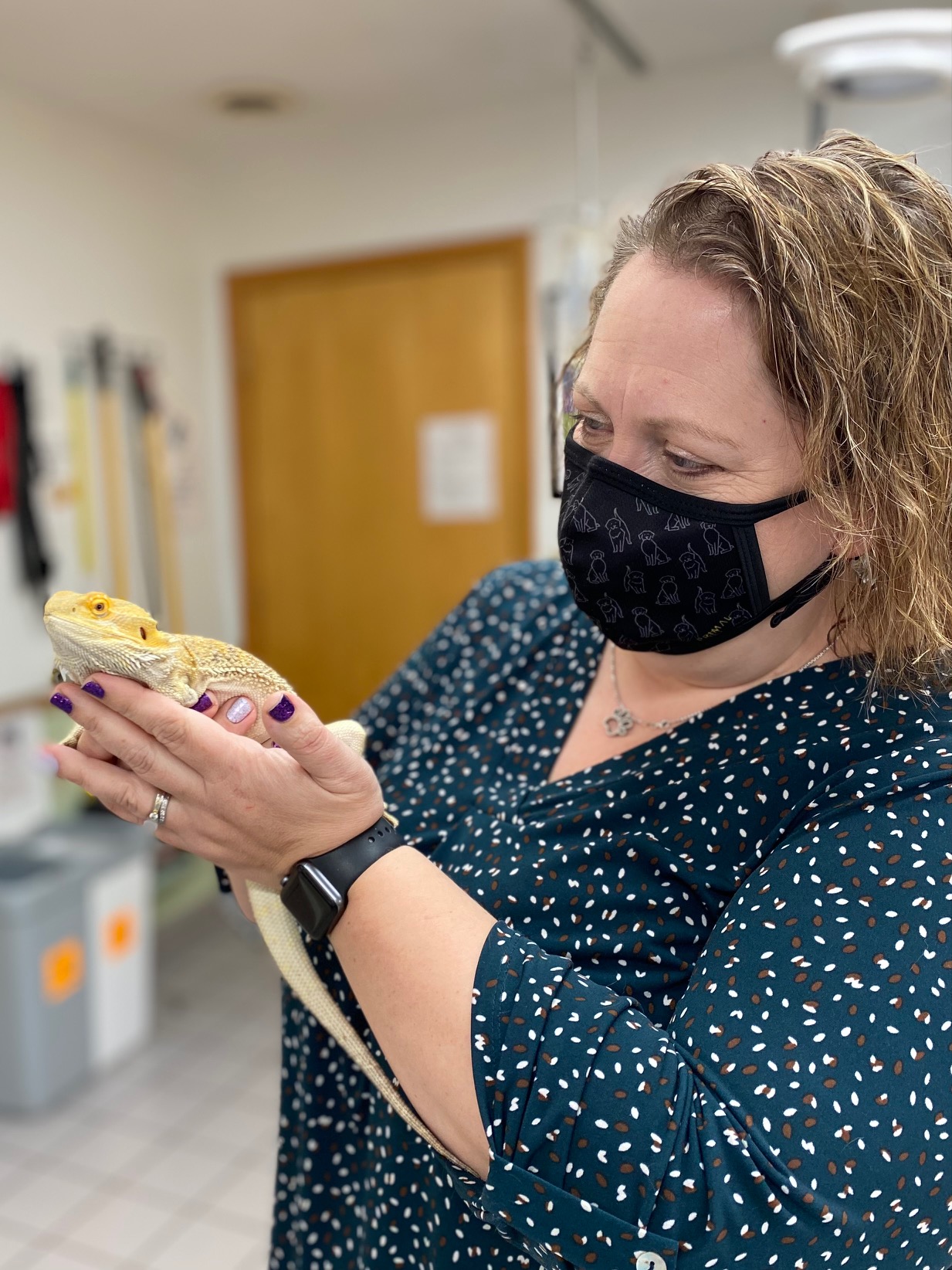 Small Mammals and Reptiles in Rochester, Dover & Milton in Rochester