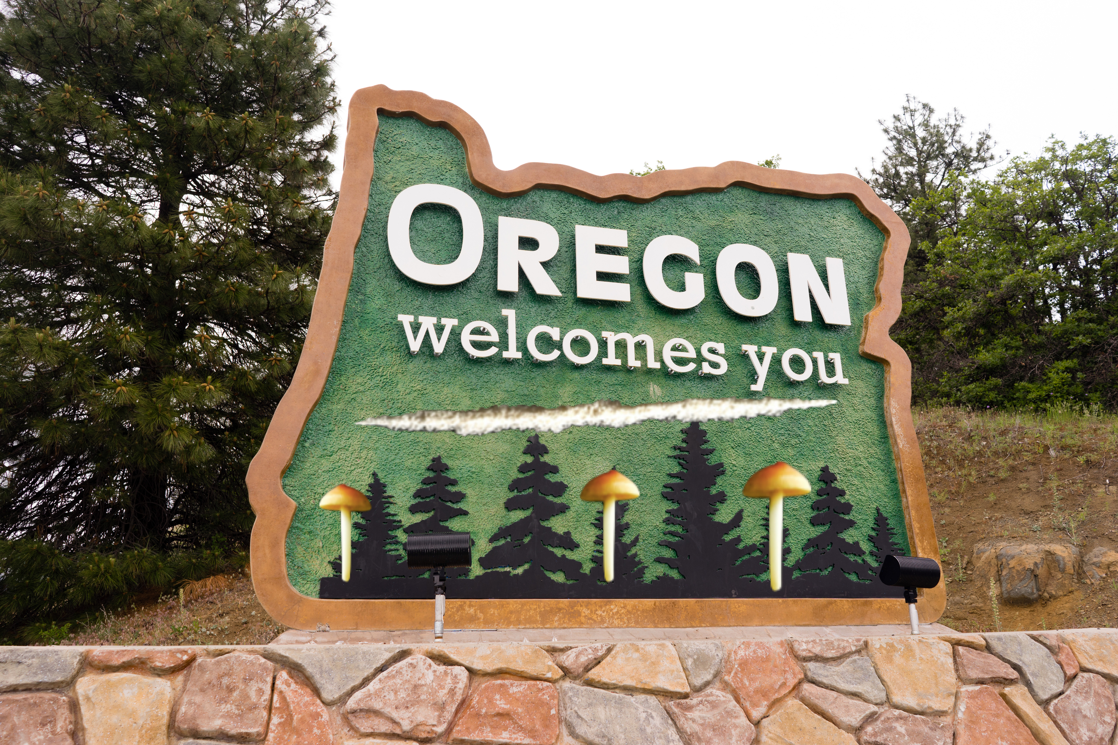 Oregon First State To Decriminalize All Drugs, Approves