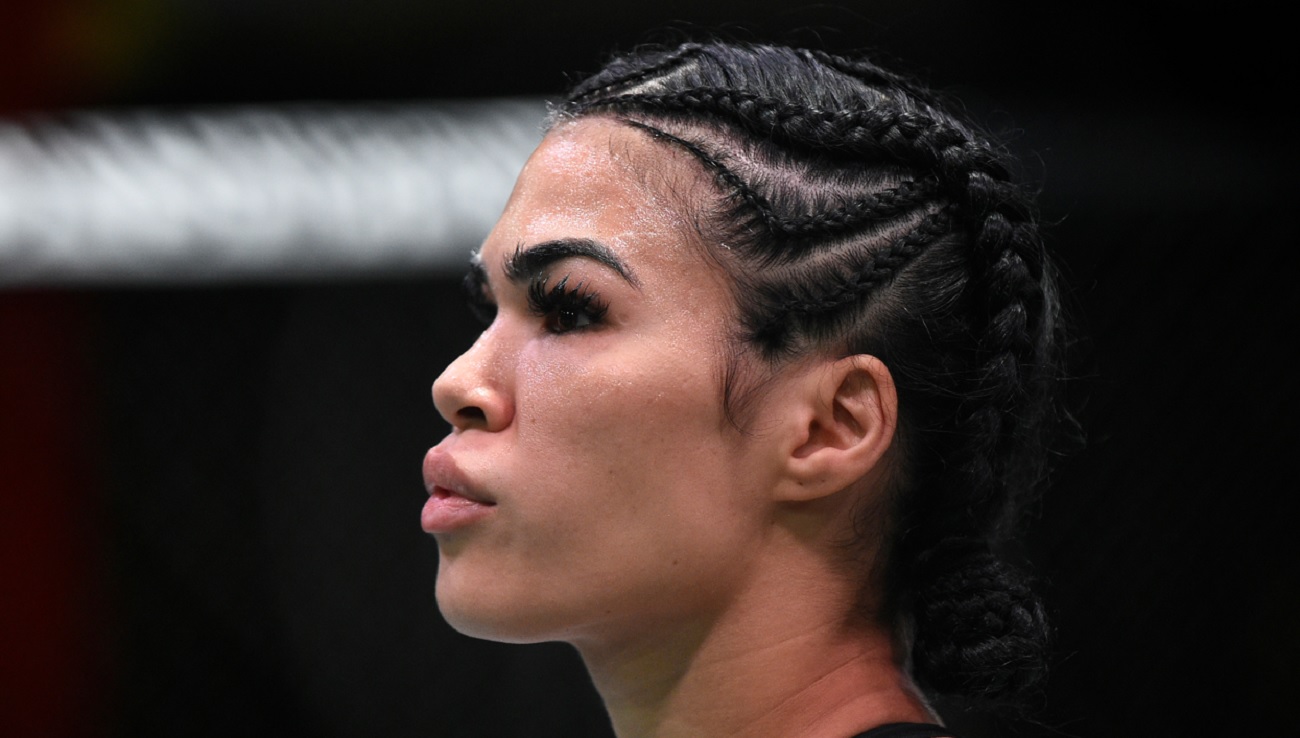 Ex-UFC Star Turned Model Rachael Ostovich Stuns In Latest Instagram Photo - BroBible