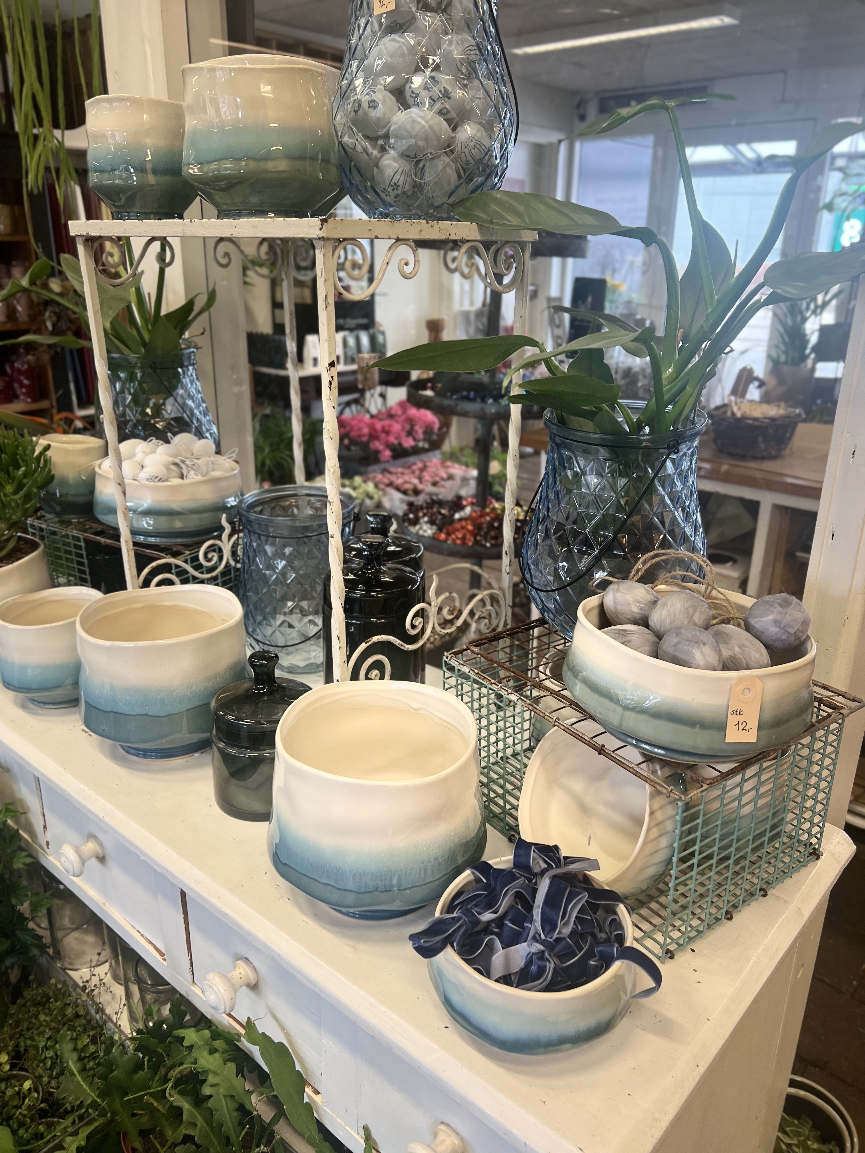 Nye Potter planter og butikken Brogårdsvejens blomster