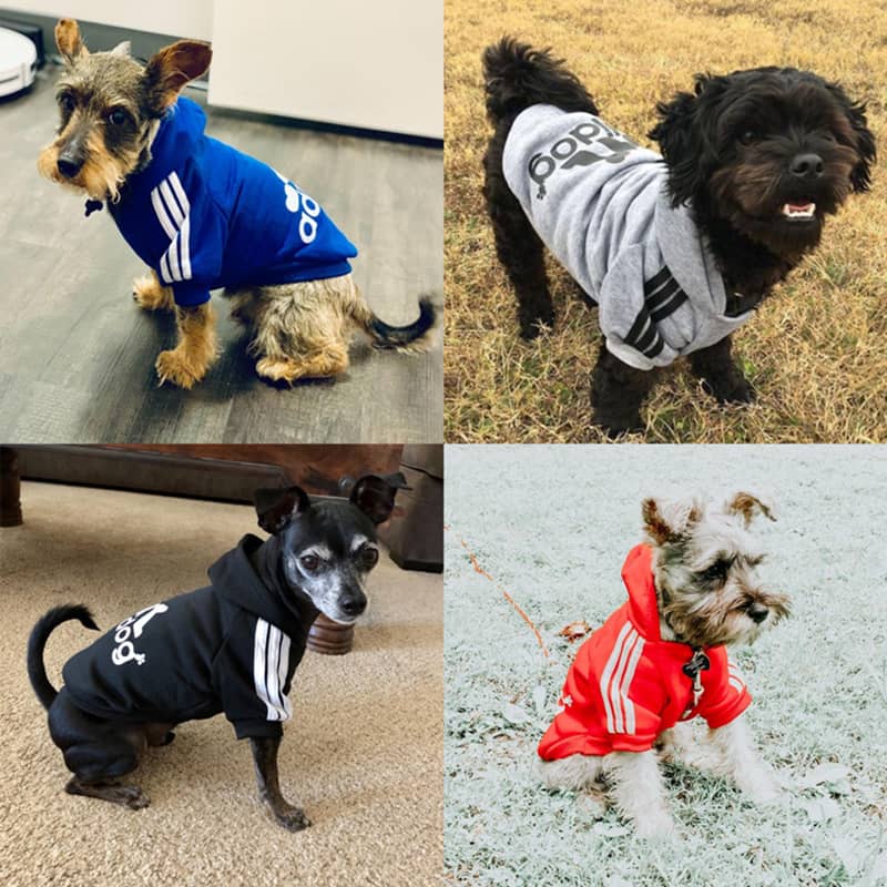 Blog NO.1 China Pet Supplies Wholesale Supplier