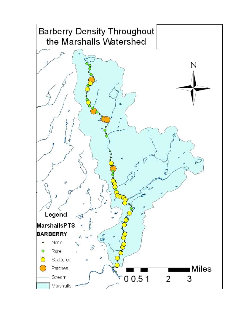 Invasive Species Management Plan Brodhead Watershed Association