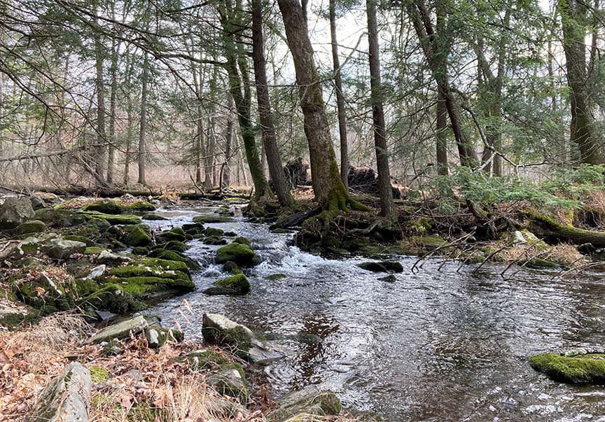 Woods and Water with Bartolacci Brodhead Watershed Association
