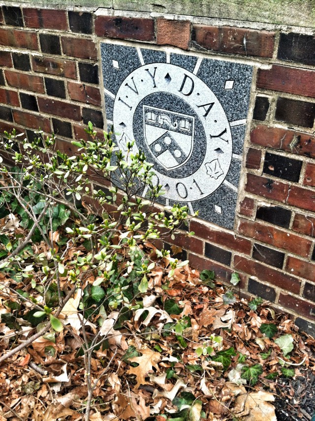 Ivy Day Brohammas