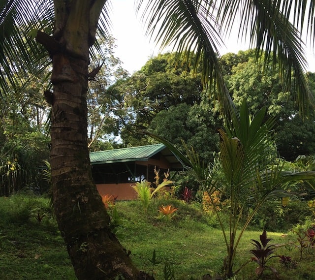 In exchange for odd jobs, get paid to live rentfree in Hawaii