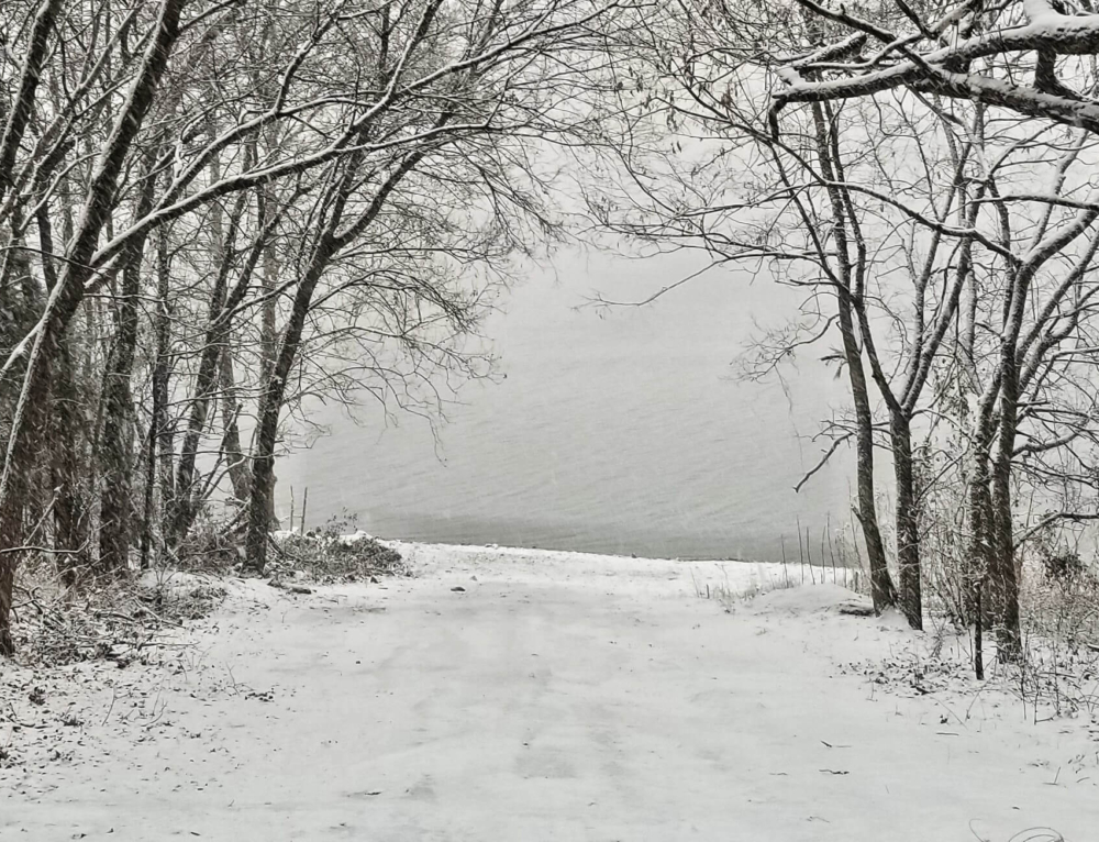 Selfguided Broken Bow Winery Tour Broken Bow Cabin Lodging