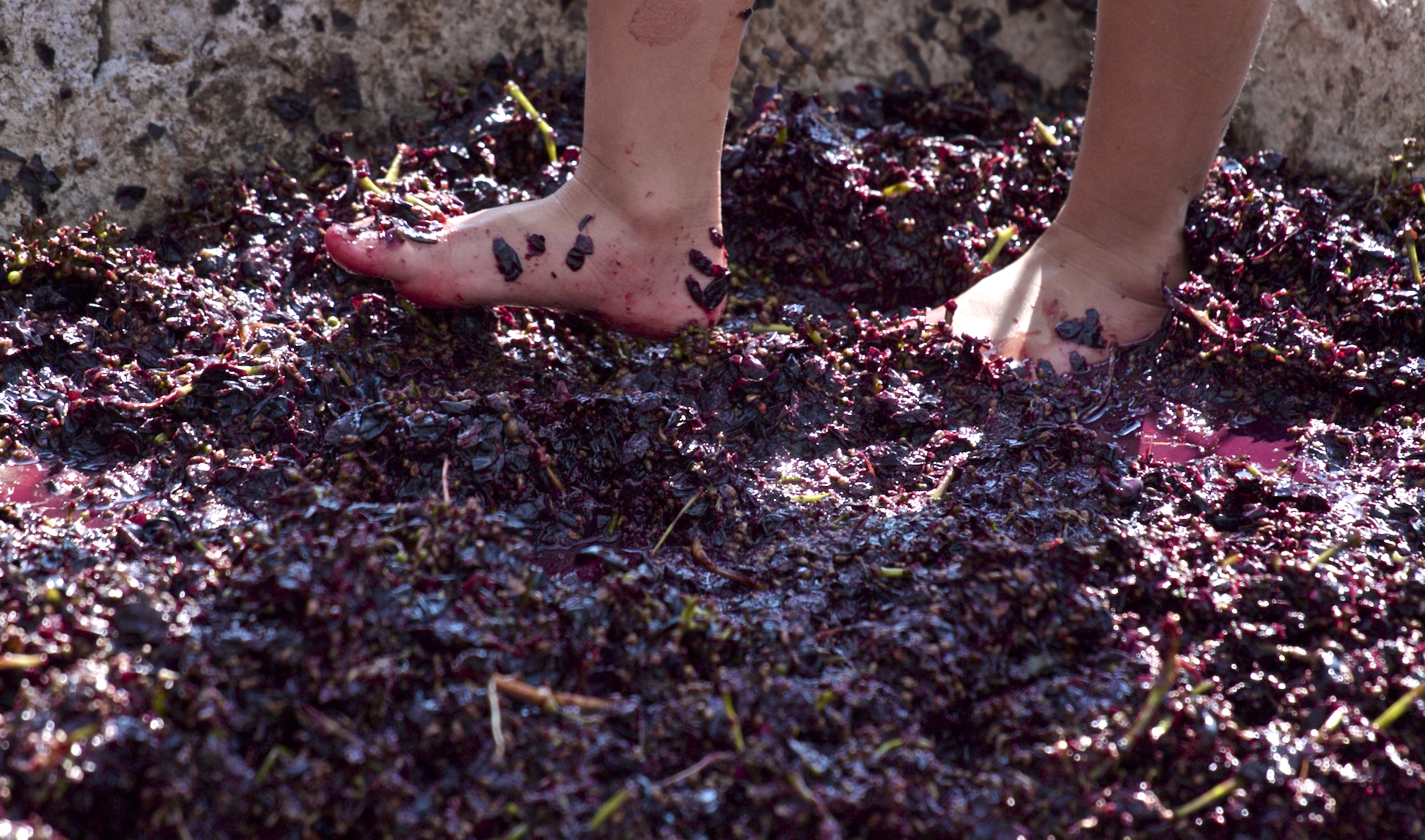 Crushed Broken Door Ministries