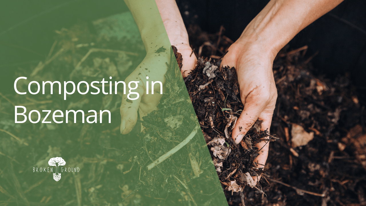 Composting in Bozeman Broken Ground Permaculture