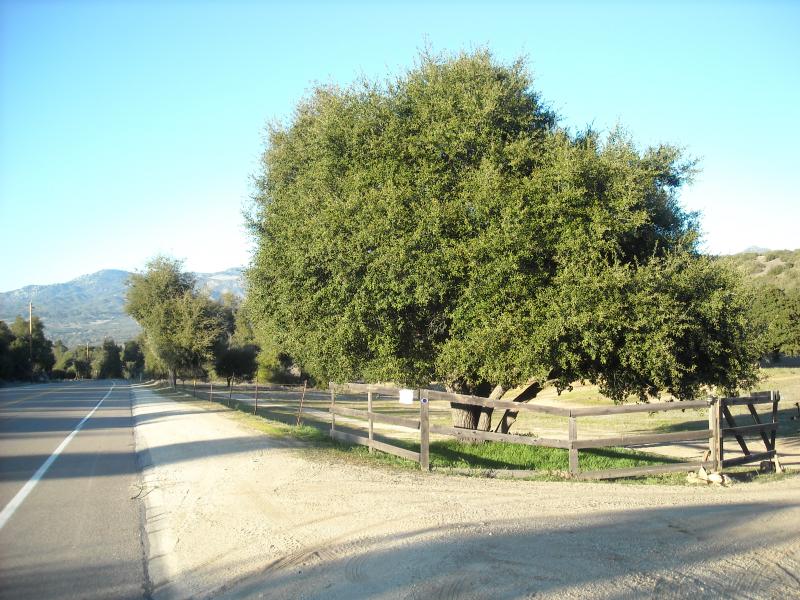 Broken Oak Ranch For Sale at Wallace Denby blog