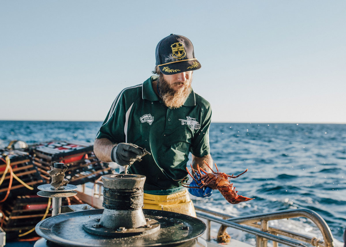 Mutual Value Geraldton Fishermen's CoOperative