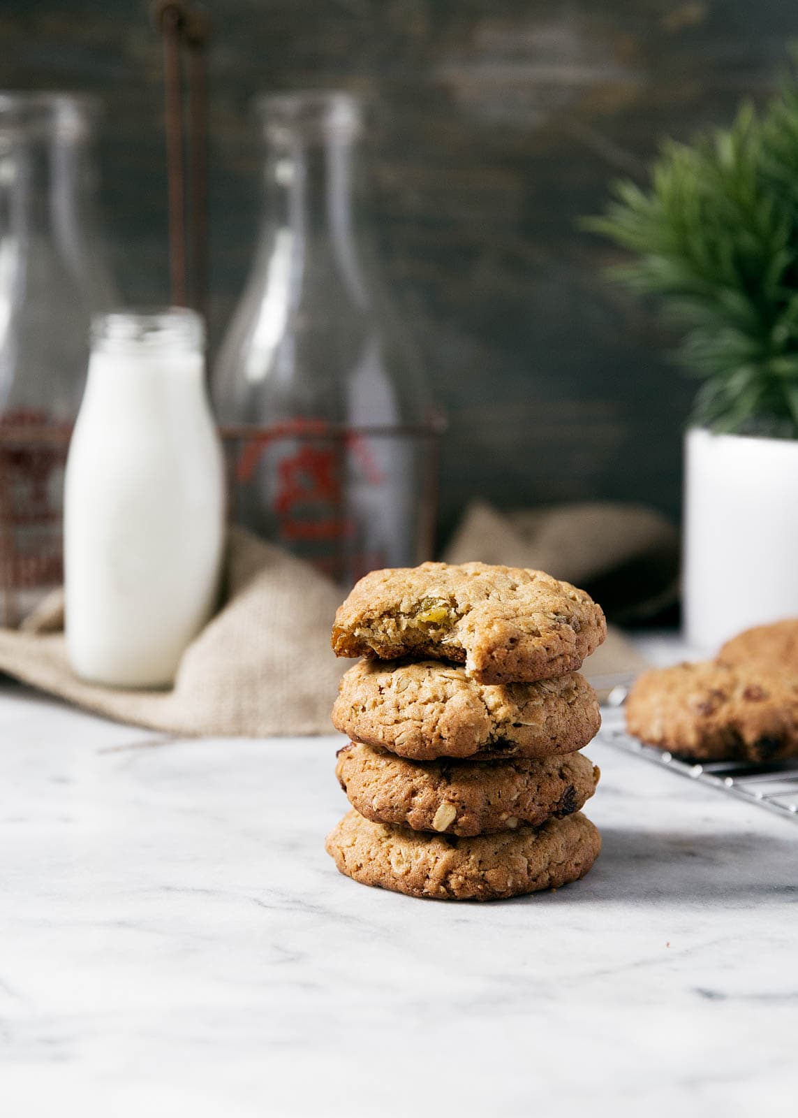 Golden Raisin Cardamom Oatmeal Cookies Broma Bakery