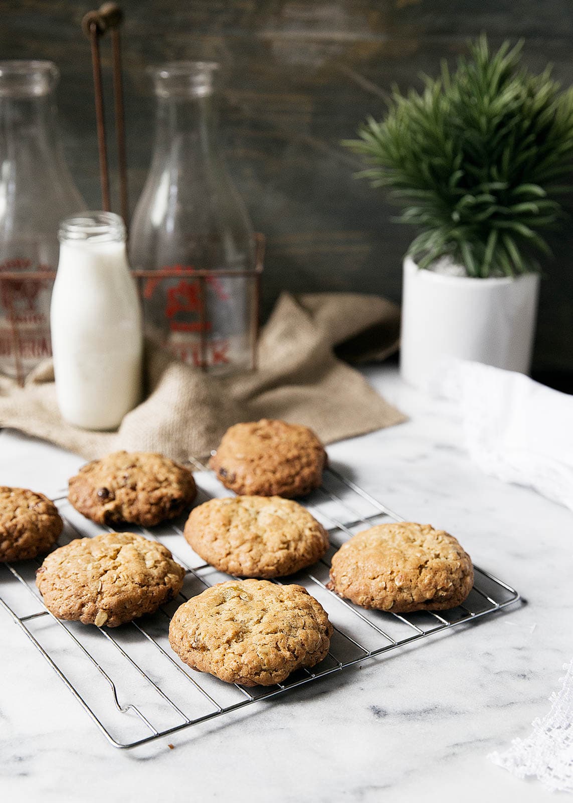 Golden Raisin Cardamom Oatmeal Cookies Broma Bakery